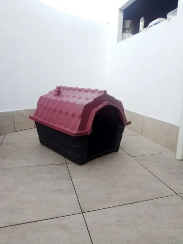 Casinha de cachorro porte médio