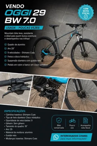 Bicicleta