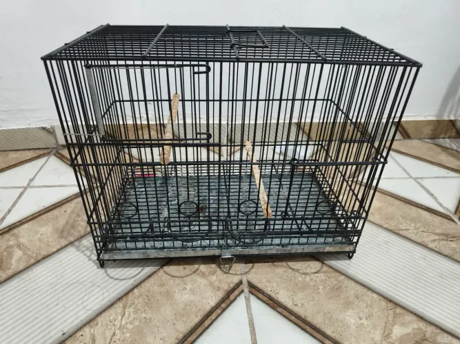GAIOLA TODA DE METAL REFORÇADA