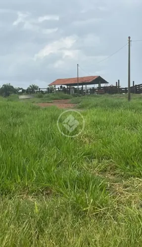 Fazenda de Dupla Aptidão em Poconé 276 Hectares com Rio, Infraestrutura Completa e Locali