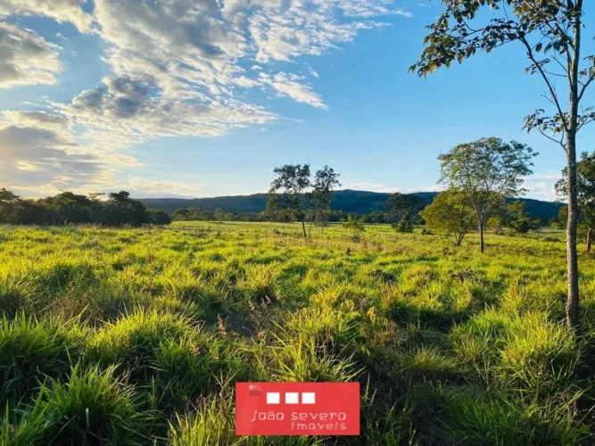 Fazenda para Venda em Buritis
