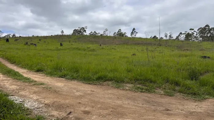 Terreno Rural para Venda em Salesópolis, Alegre