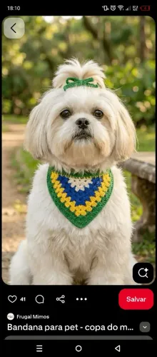 Bandanas pet 