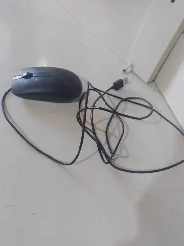 Mouse