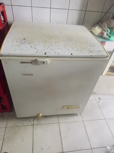Congelador Eletrolux