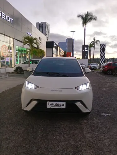 BYD Dolphin Mini (Elétrico) 2025