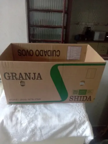 Caixas papelão