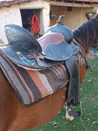 Sela três tambores profissional