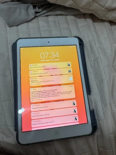 iPad mine 2