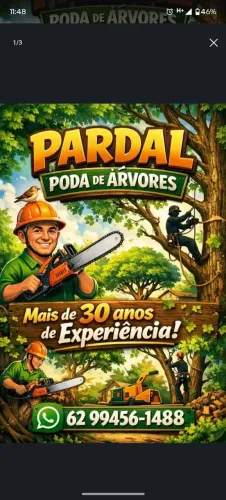 Poda de árvores e retirada