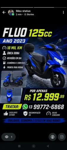 Fluo única dona 2023