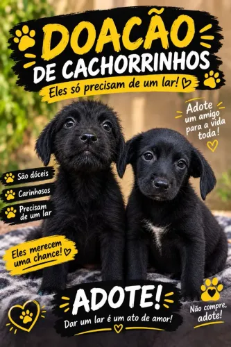 Doação filhote cachorro