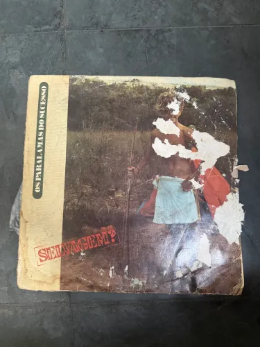 LP Os Paralamas do Sucesso - Selvagem | Vinil Original