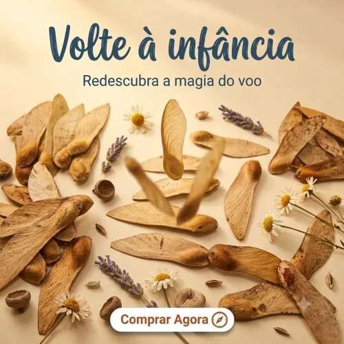 Sementes de Tipuana Semente helicóptero lembrança infância cai girando