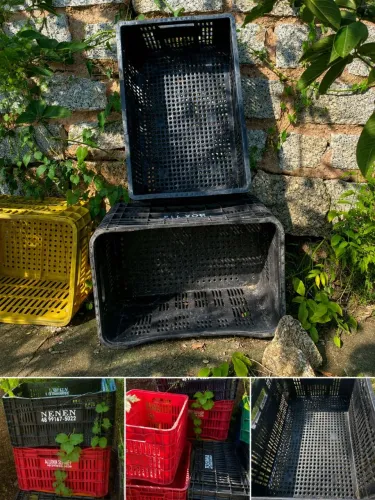 Caixas Plásticas Hortifrúti Grandes