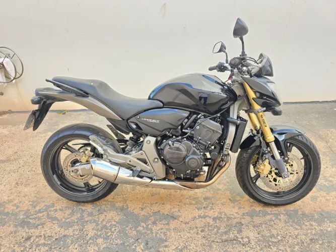 Vende se hornet 2008