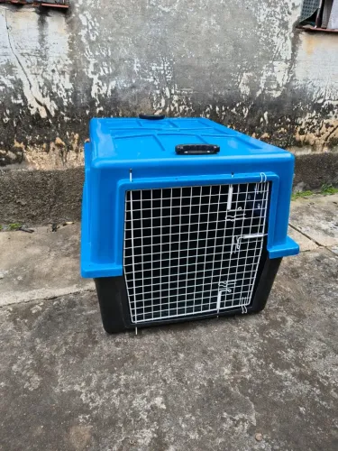 Caixa de Transporte Pet n6 para viagens aéreas