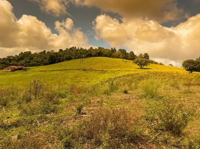 Lote 500m² em Ibiúna Região Arborizada