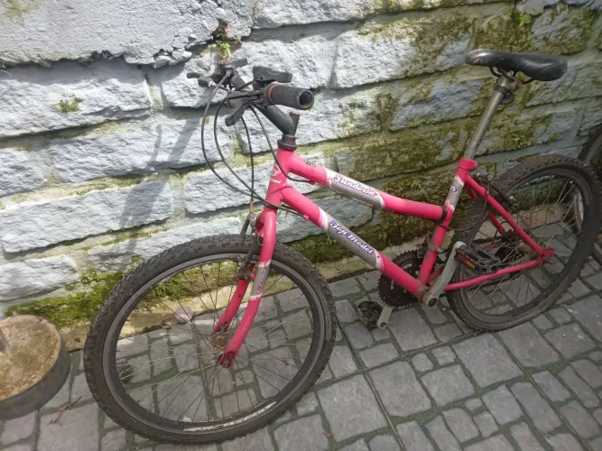 Bicicleta aro 24