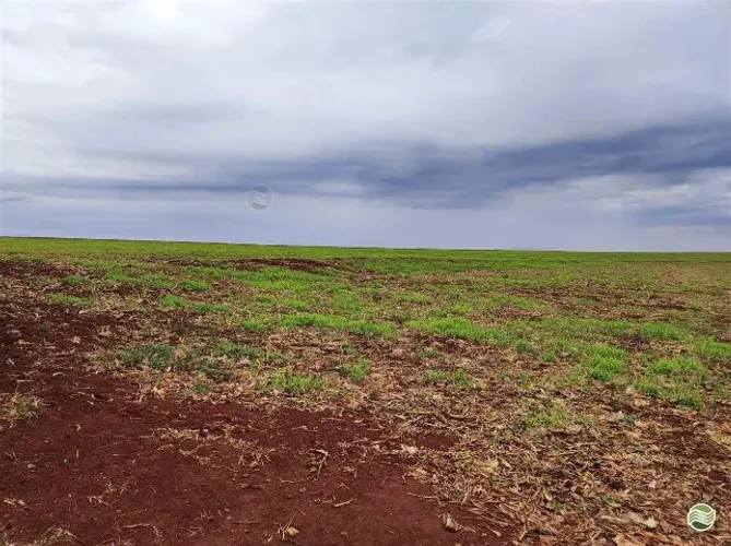 FAZENDA EM BALSAS VENDA