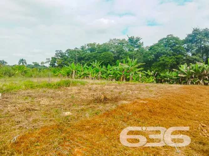 Terreno | Joinville | Pirabeiraba