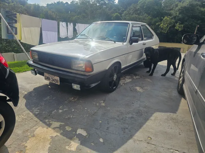 Volkswagen Passat L/ LS/ LSE/ GL/ GLS/ TS/ FLA/ VILL/ PLUS 1981
