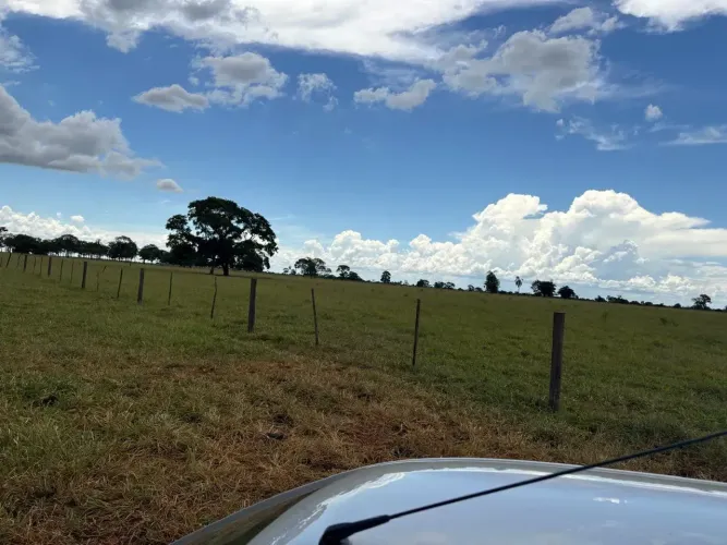 FAZENDA À VENDA CAIUÁ/SP | 75 ALQUEIRES PECUÁRIA | 90% DE APROVEITAMENTO | FACILIDADE D