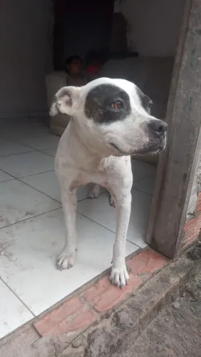 Doaçao 