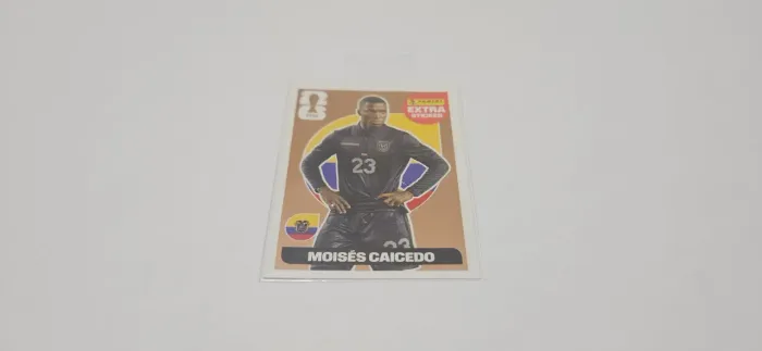MOISÉS CAICEDO BRONZE
