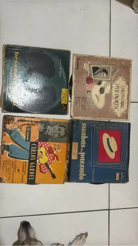 Disco de Vinil LP - Colecionador