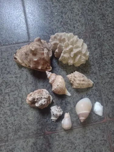 Mar
