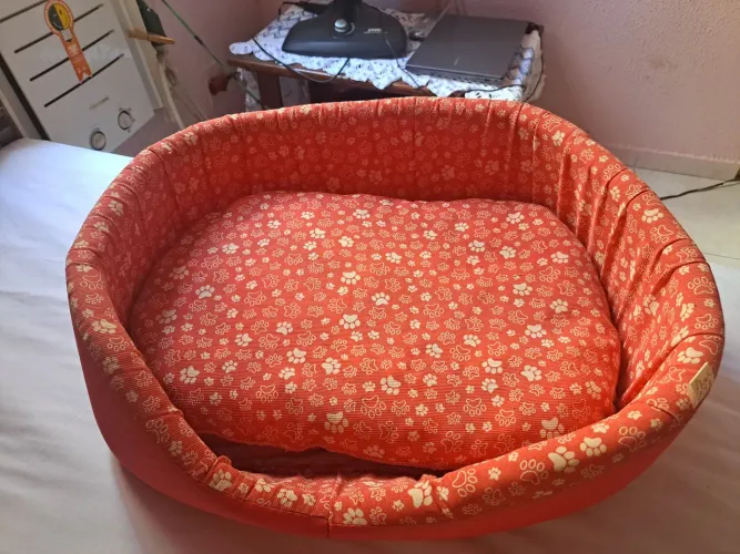 Caminha de cachorro