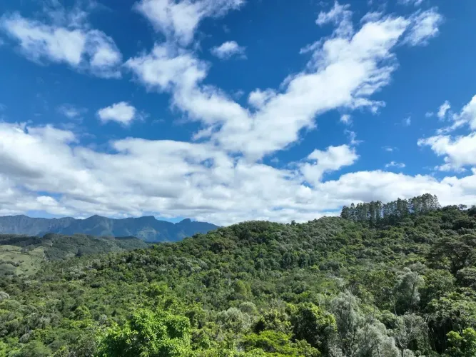 Lote/Terreno para venda tem 30000 metros quadrados em Rio Perdido - Anitápolis - Santa Cat
