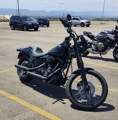 Harley Davidson FXST Standart 2007