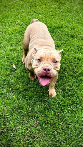 Cobertura disponível 