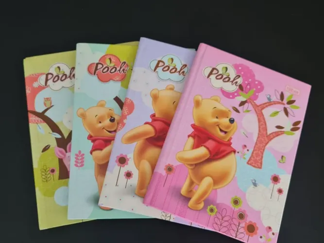 Caderno Pooh ano 2009 48 folhas