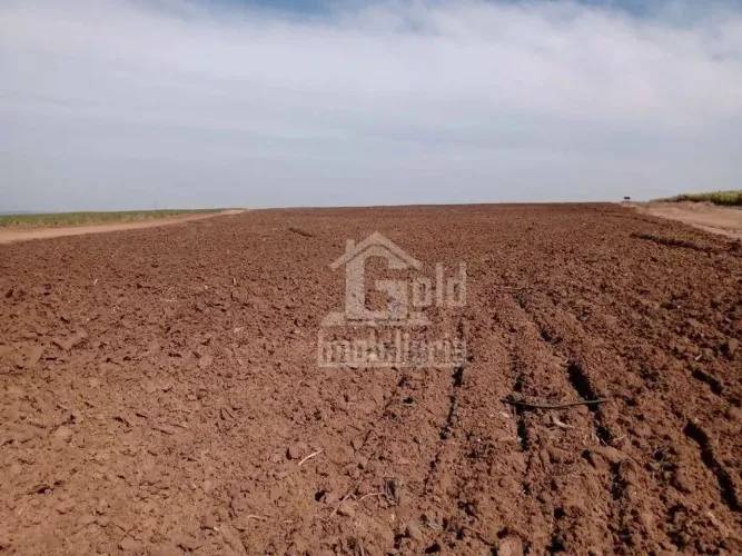 Fazenda à venda com 142,97 alqueires