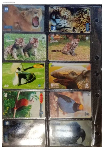 Telecartofilia