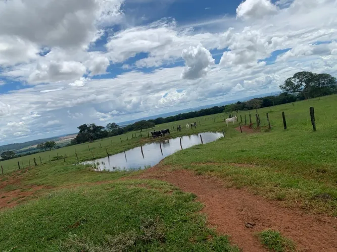 Fazenda dupla aptidão região monte alegre