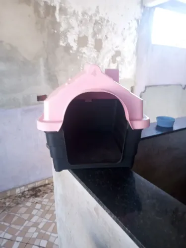 Casinha de cachorro n° 4