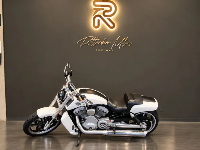 V-Rod Muscle 2013