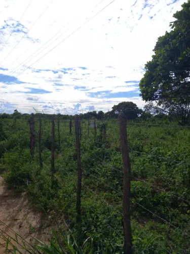 Sitio