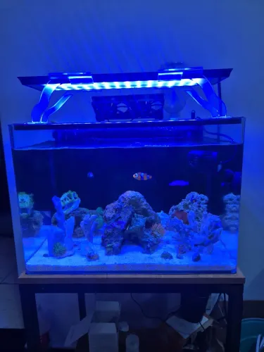 luminária Ocean Tech Nour Plus Marine