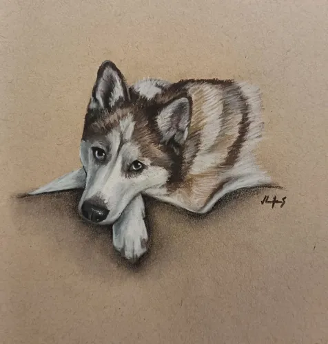 Desenho de pet personalizado