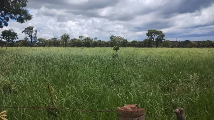 Fazenda à venda em Uberlândia/MG com 7,06 alqueires (34,17 hectares)