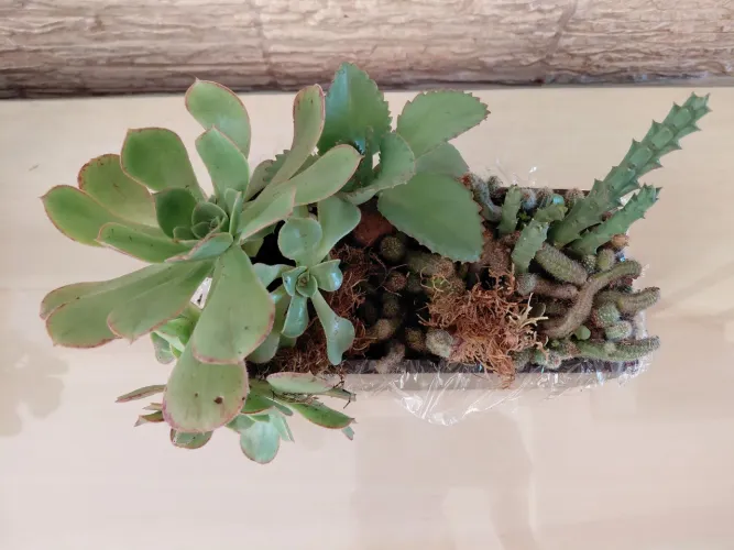 Decoração de casa 
