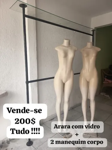 Arara com vidro e manequim