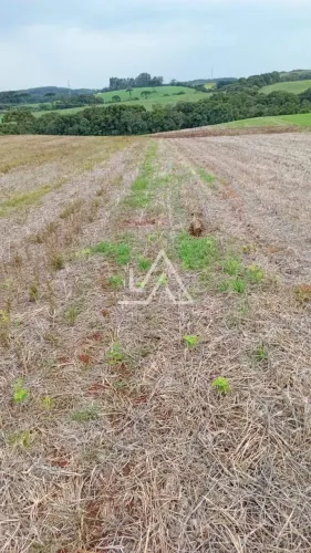 TERRAS PARA PLANTIO OU SÍTIO EM MATO CASTELHANO