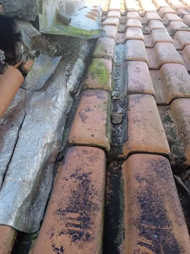 MANUTENÇÃO EM TELHADOS/PINTURAS