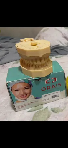 MANEQUIM DE PERIODONTIA 